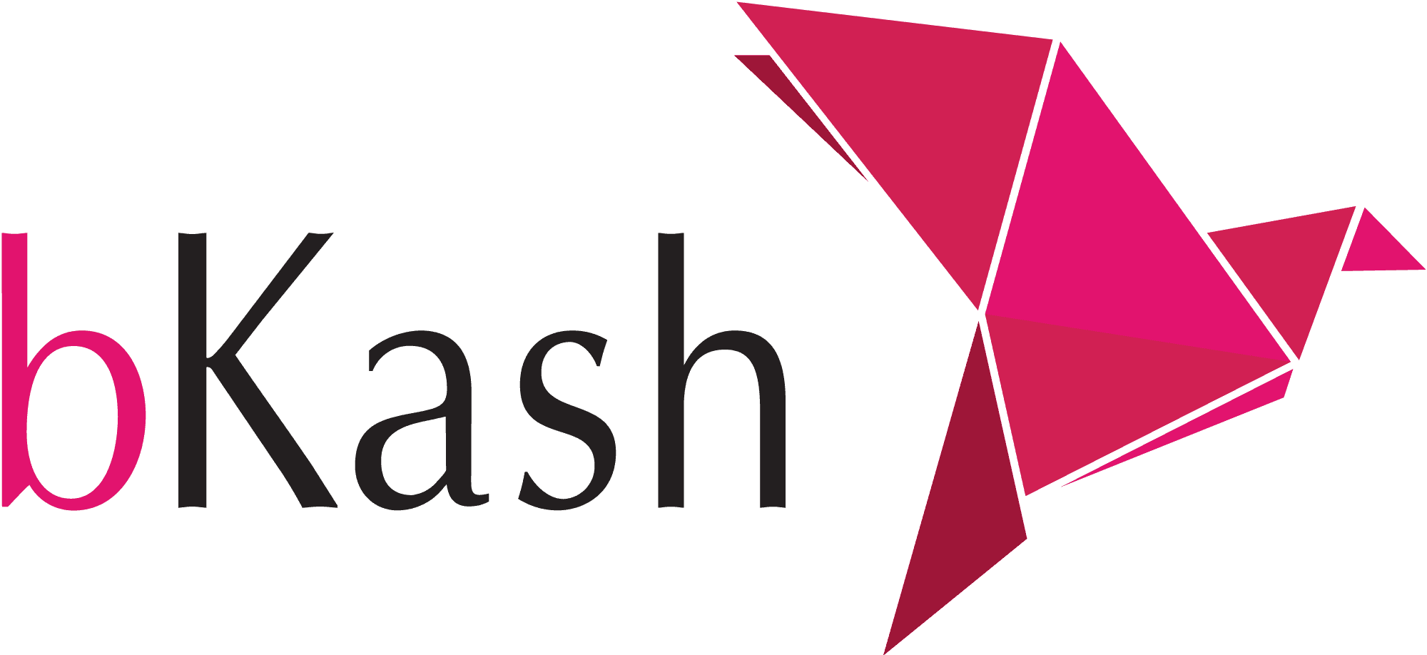 Bkash Logo